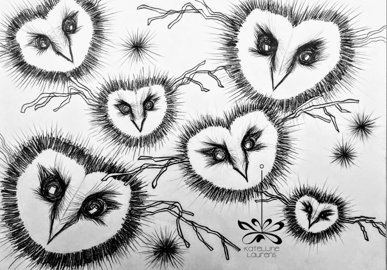 Group-of-Owls