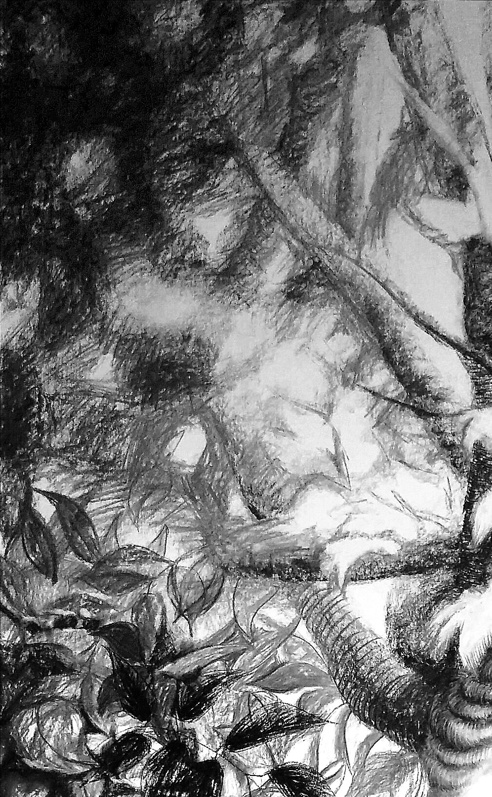 woman-with-horns-detail-2